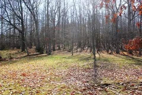 4033 Timber Line Rd, Ferrum, VA 24088 photo 34