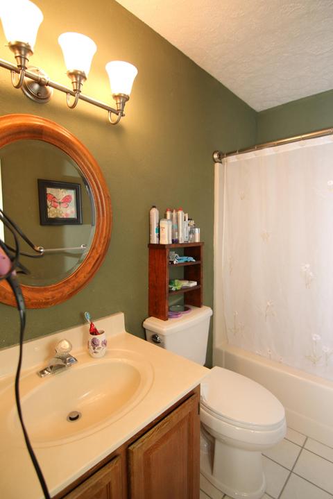 747 Devonshire Dr, Vinton, VA 24179 photo 25