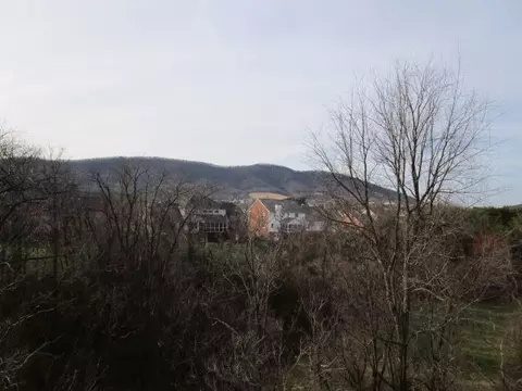 5488 Setter Rd, Roanoke, VA 24012 photo 48