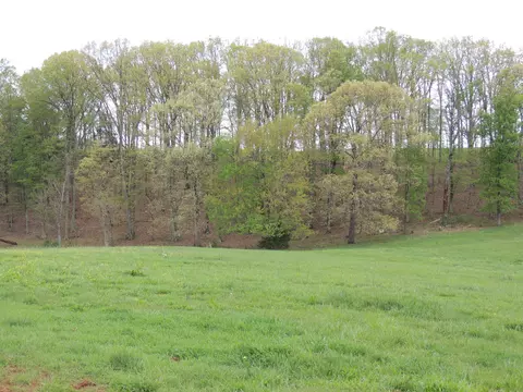 4996 Joppa Mill Rd, Moneta, VA 24121 photo 39