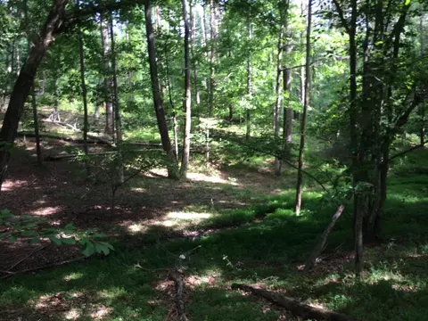 1941 Goodview Town Rd, Goodview, VA 24095 photo 62
