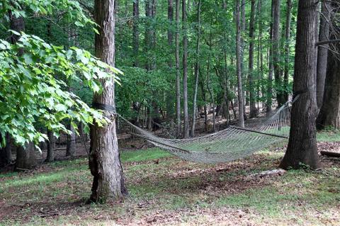 110 Bent Tree Rd, Moneta, VA 24121 photo 41
