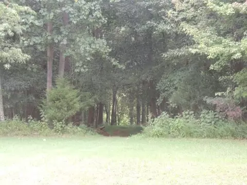 3205 Mcdaniel Rd, Bedford, VA 24523 photo 20