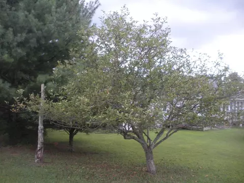 1071 Eagles Nest Dr, Goodview, VA 24095 photo 45