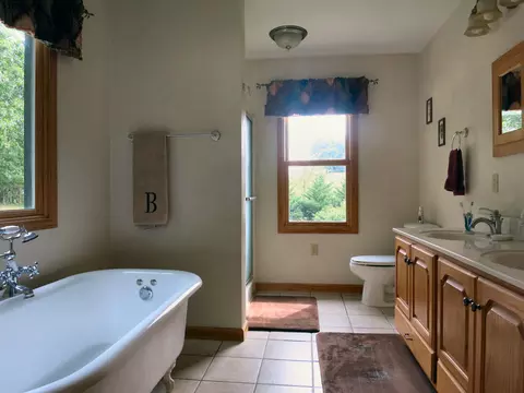 246 Stage Rd, Buchanan, VA 24066 photo 53