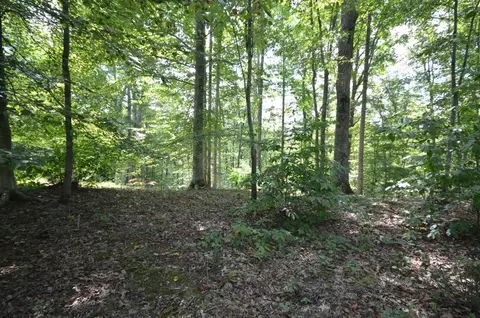 4661 Goodview Rd, Goodview, VA 24095 photo 33