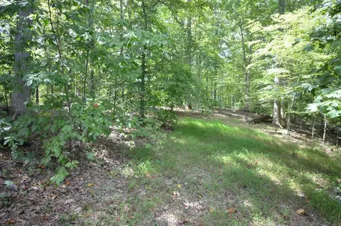 4661 Goodview Rd, Goodview, VA 24095 photo 31