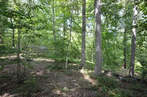4661 Goodview Rd, Goodview, VA 24095 photo 32
