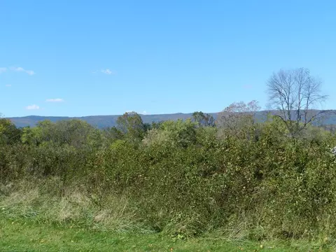 539 Gala Loop Rd, Eagle Rock, VA 24085 photo 31