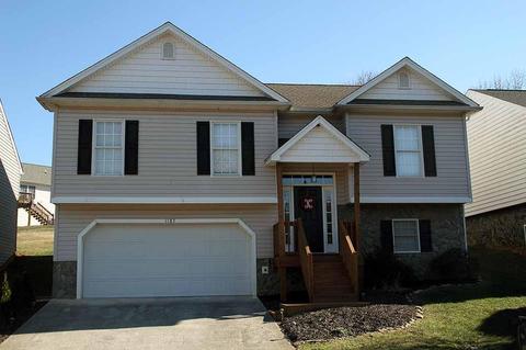 1183 Crest Ridge Dr, Bedford, VA 24523 photo 38