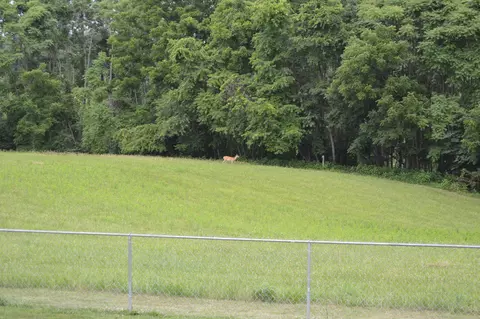 175 Kay Fork Rd, Union Hall, VA 24176 photo 57