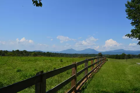 2745 Roaring Run Rd, Goode, VA 24556 photo 2