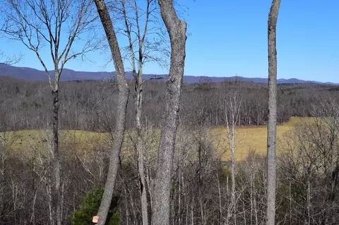 907 Trout Run Dr, Woolwine, VA 24185 photo 54