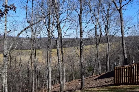 907 Trout Run Dr, Woolwine, VA 24185 photo 57