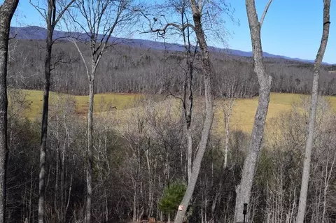 907 Trout Run Dr, Woolwine, VA 24185 photo 55