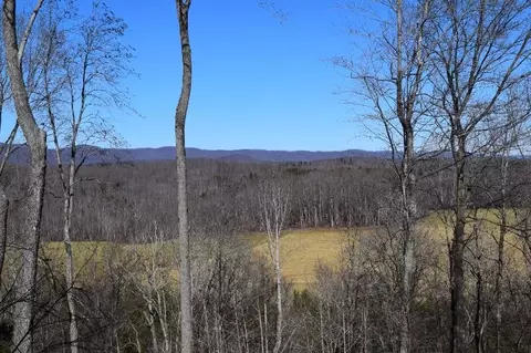 907 Trout Run Dr, Woolwine, VA 24185 photo 53