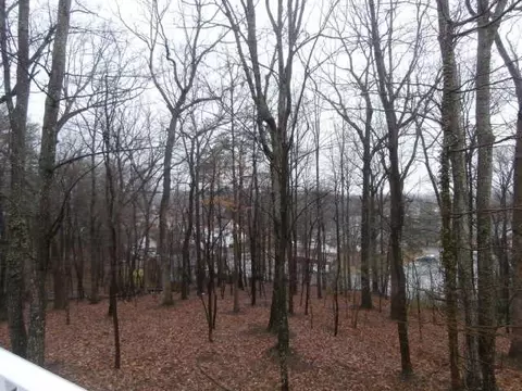 2631 Creston Ave SW, Roanoke, VA 24015 photo 38