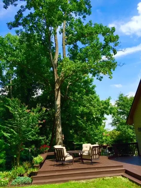 6667 Christopher Dr, Roanoke, VA 24018 photo 59