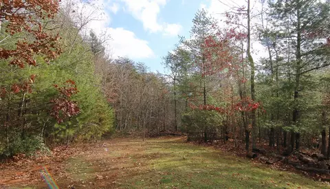 860 Beech Mountain Rd, Ferrum, VA 24088 photo 43