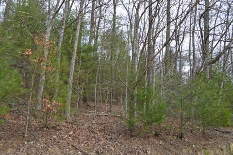 0 Little Mountain Rd, New Castle, VA 24127