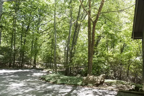 42 Turtle Back Path, Hardy, VA 24101 photo 68
