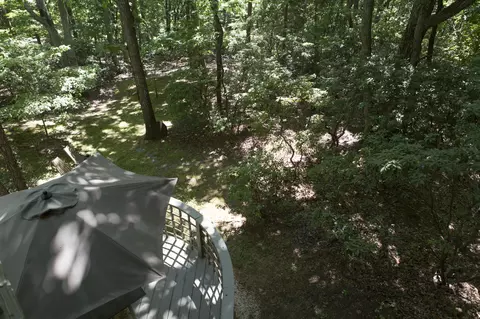 42 Turtle Back Path, Hardy, VA 24101 photo 67