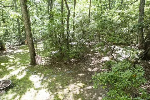 42 Turtle Back Path, Hardy, VA 24101 photo 59