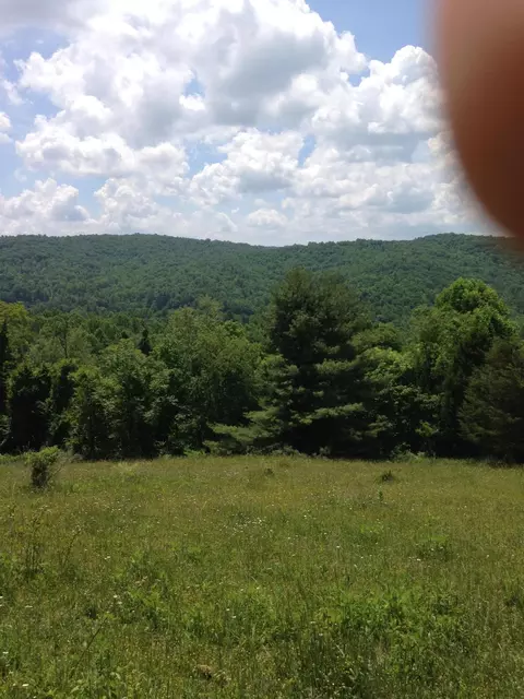 9605 Patterson Dr, Bent Mountain, VA 24059 photo 9