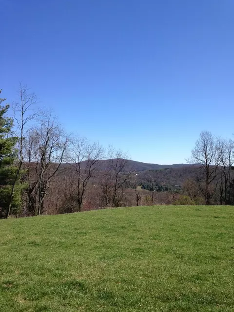 9605 Patterson Dr, Bent Mountain, VA 24059 photo 3