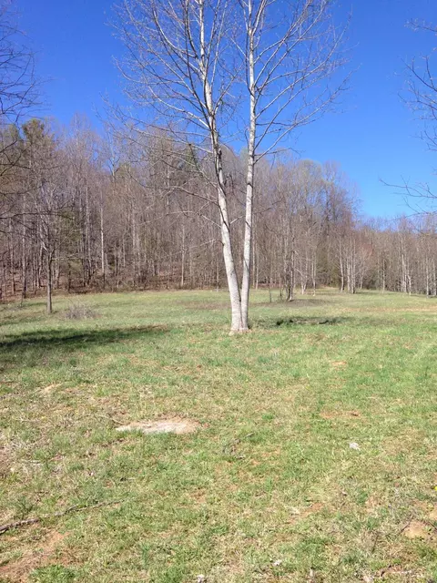9605 Patterson Dr, Bent Mountain, VA 24059 photo 5