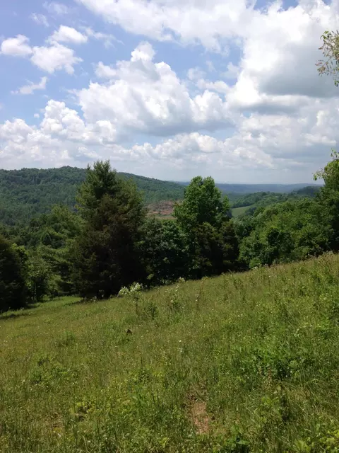 9605 Patterson Dr, Bent Mountain, VA 24059 photo 8