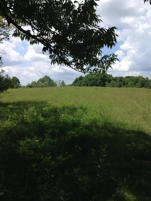 9605 Patterson Dr, Bent Mountain, VA 24059 photo 2