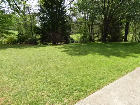 175 Honeysuckle Ln, Ferrum, VA 24088 photo 87