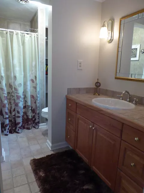 175 Honeysuckle Ln, Ferrum, VA 24088 photo 69