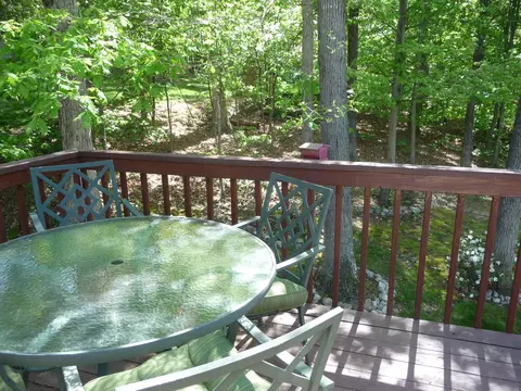 99 Fox Fire, Cloverdale, VA 24077 photo 74