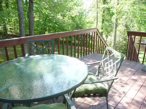 99 Fox Fire, Cloverdale, VA 24077 photo 64