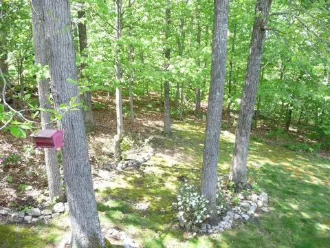 99 Fox Fire, Cloverdale, VA 24077 photo 11