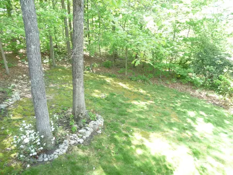 99 Fox Fire, Cloverdale, VA 24077 photo 66