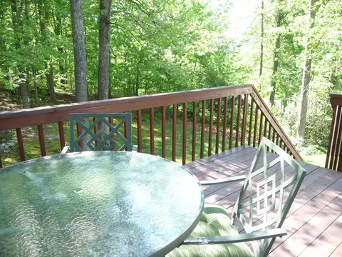 99 Fox Fire, Cloverdale, VA 24077 photo 62