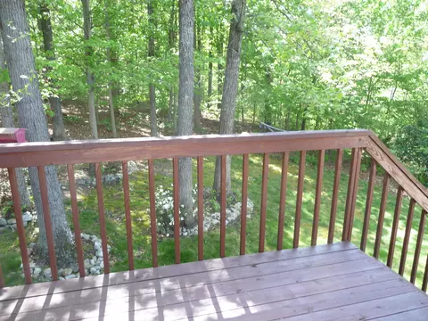 99 Fox Fire, Cloverdale, VA 24077 photo 75