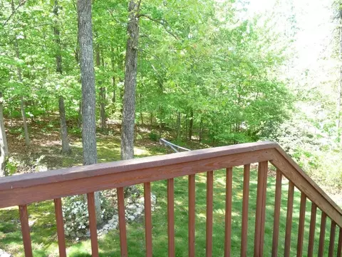 99 Fox Fire, Cloverdale, VA 24077 photo 72