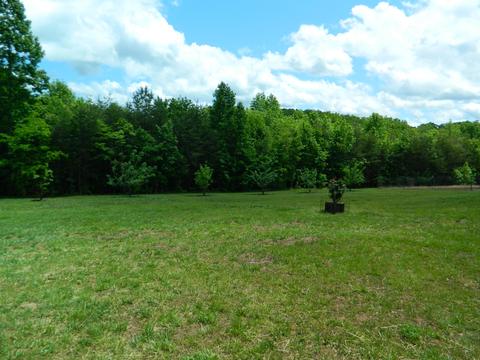 332 Black Feather Trl, Ridgeway, VA 24148 photo 34
