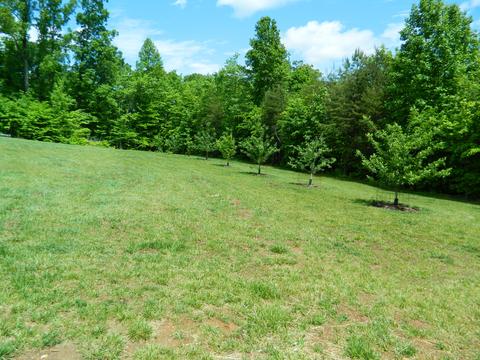 332 Black Feather Trl, Ridgeway, VA 24148 photo 33