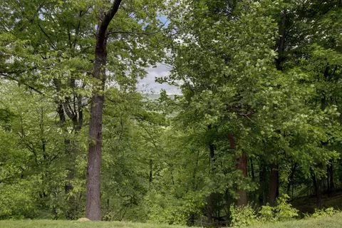 1256 Terrace Dr, Salem, VA 24153 photo 43