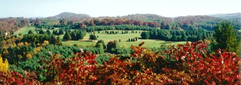 546 Black Forest Rd, Floyd, VA 24091 photo 5
