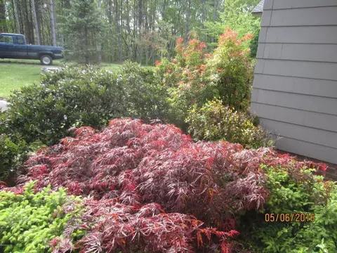546 Black Forest Rd, Floyd, VA 24091 photo 34