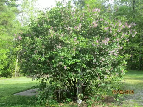 546 Black Forest Rd, Floyd, VA 24091 photo 23