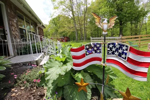 2185 Loops Rd, Rainelle, WV 25962 photo 69