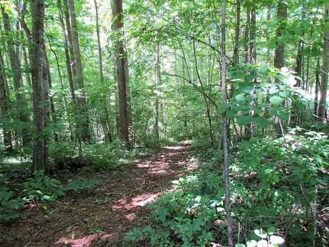 81 Jamison Mill Rd, Henry, VA 24102 photo 28