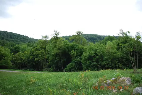 3255 Johnson School Rd, Thaxton, VA 24174 photo 39